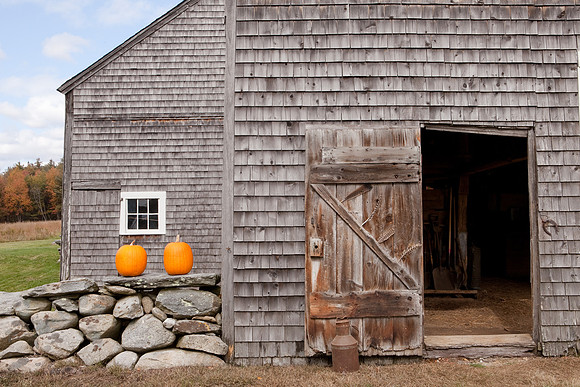 Two Pumpkins