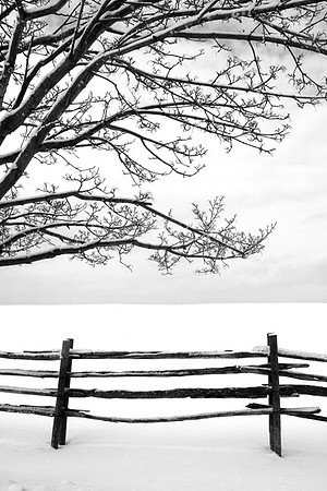 First Snow