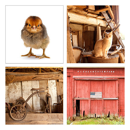 Coaster Set Farm
