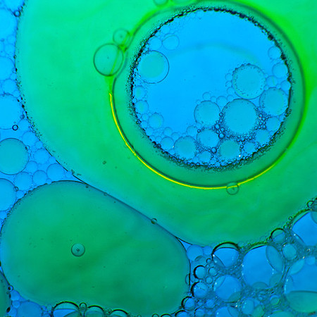 Blue #2