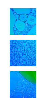 Bubble Study #2