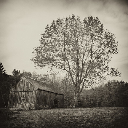 Barn at Wells Lane