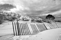 Fence #9 BW