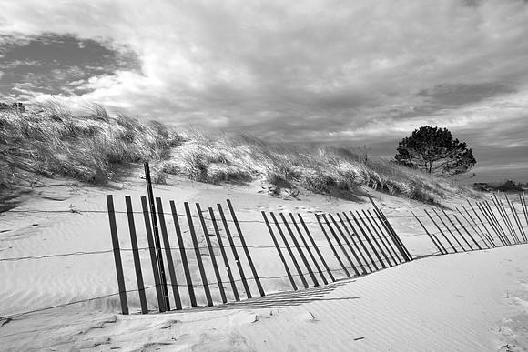 Fence #9 BW