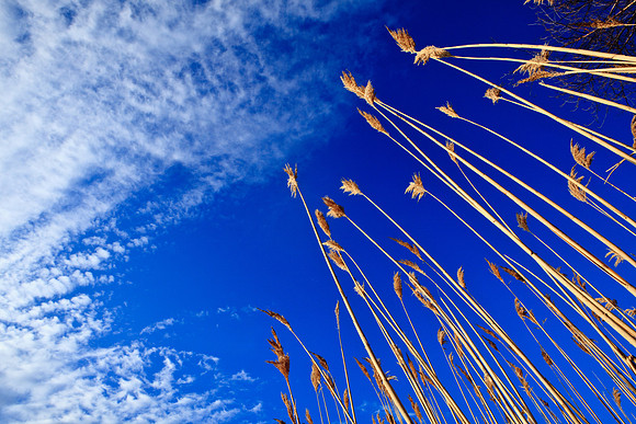 Reach for the Sky