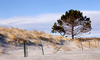 Gloucester Seascape