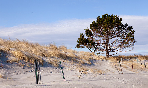 Gloucester Seascape