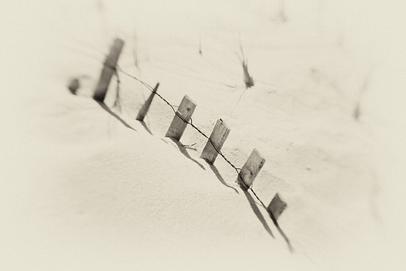 Mini Fence
