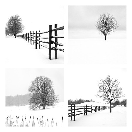 Coaster Set Winter
