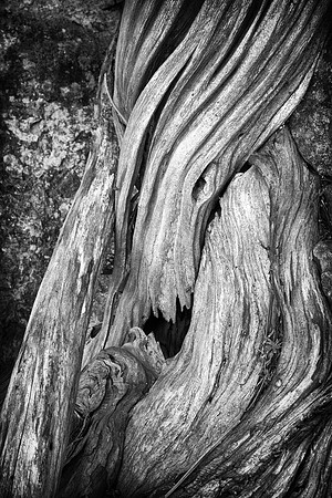 Erosion #3