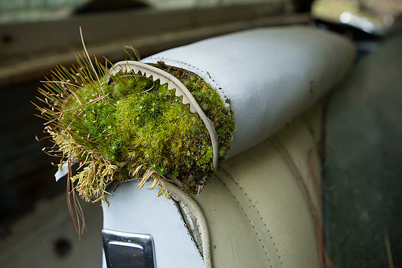 Life Finds A Way