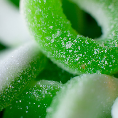 Sour Gummi Apple Rings