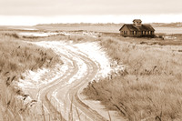 A Winter Walk