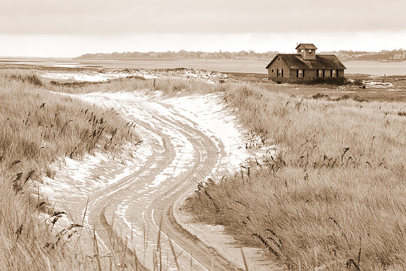 A Winter Walk
