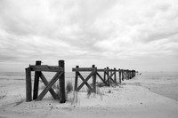 Remnants #7