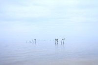 Remnants #5