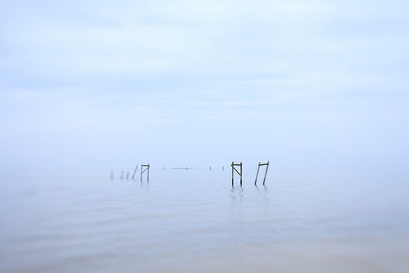 Remnants #5