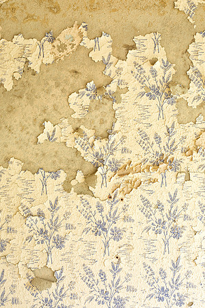 Wallpaper Study I, 12x8, photograph on aluminum, $275