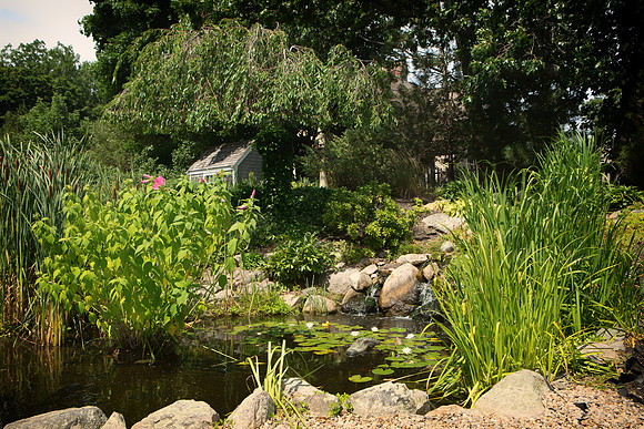 Grandma's Rock Garden