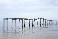 Remnants #6