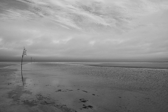 Rock Harbor Seascape