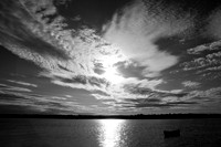 The Boat